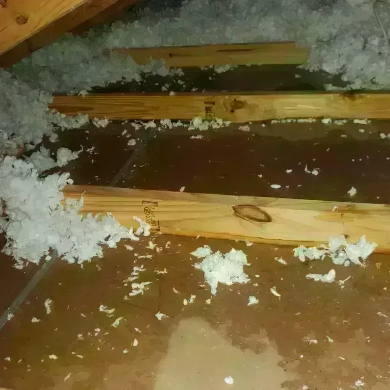 Attic Water Damage in Centerville, TN